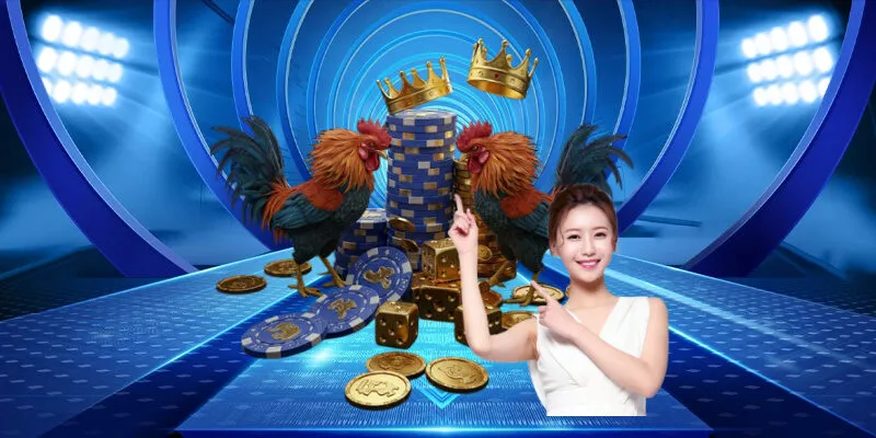 Hướng dẫn cách tham gia chơi đá gà Mỹ tại LUCK8