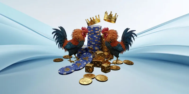 Kinh nghiệm chơi đá gà online