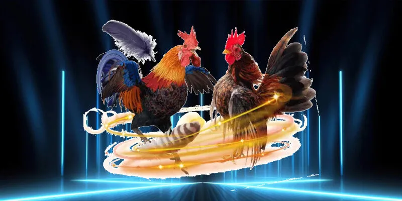 Các thể loại trò chơi đá gà trực tiếp phổ biến