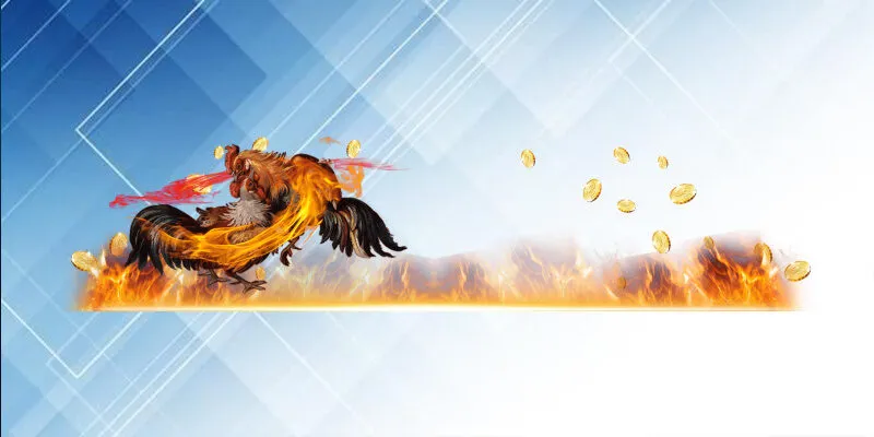 Các loại hình đá gà trực tiếp