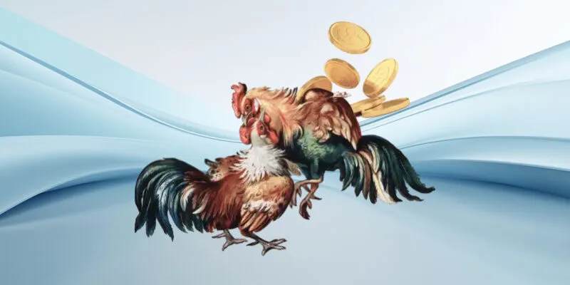 Màu gà mạng là cách xem năng lực của chiến kê