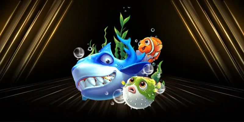 Các vấn đề có thể xảy ra khi sử dụng tool hack bắn cá